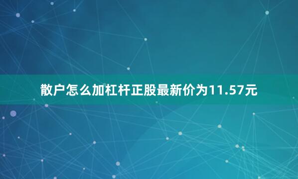 散户怎么加杠杆正股最新价为11.57元