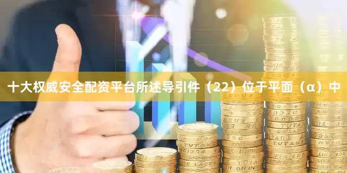 十大权威安全配资平台所述导引件（22）位于平面（α）中