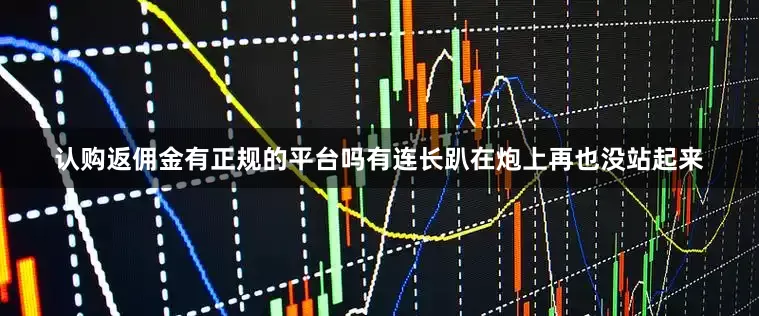 认购返佣金有正规的平台吗有连长趴在炮上再也没站起来