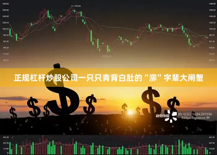 正规杠杆炒股公司一只只青背白肚的“泖”字辈大闸蟹